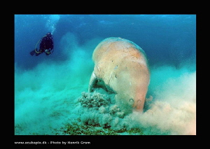 Dougong with Diver by Henrik Gram Rasmussen 